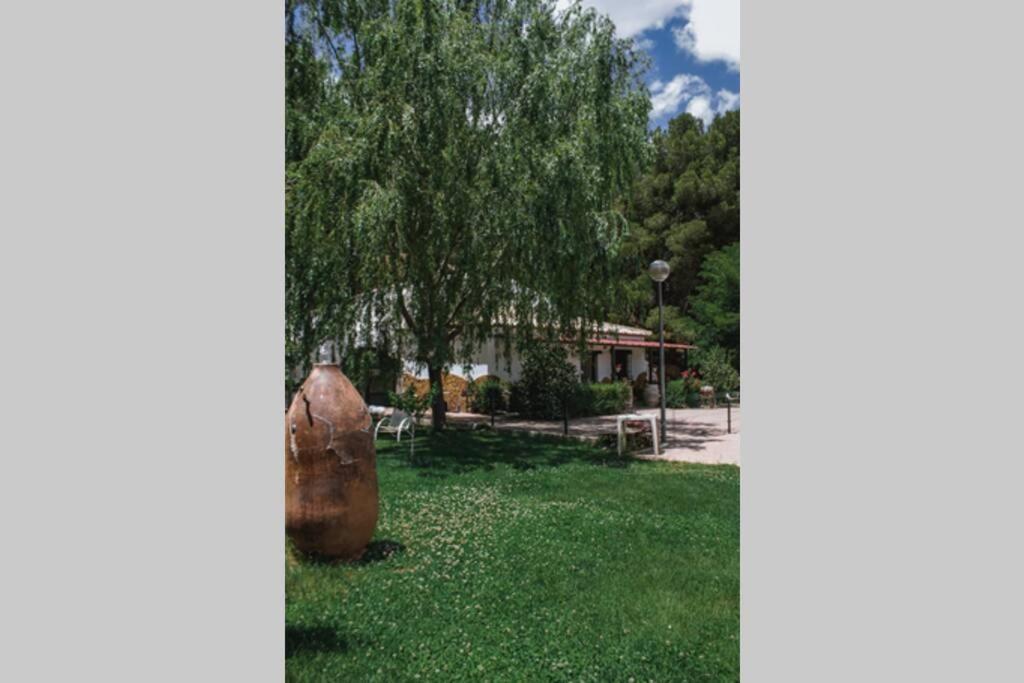 Casa Cueva Piena, Alcudia De Guadix Villa Kültér fotó